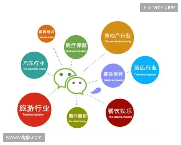 成都羽毛球队运营模式分析与发展前景探讨